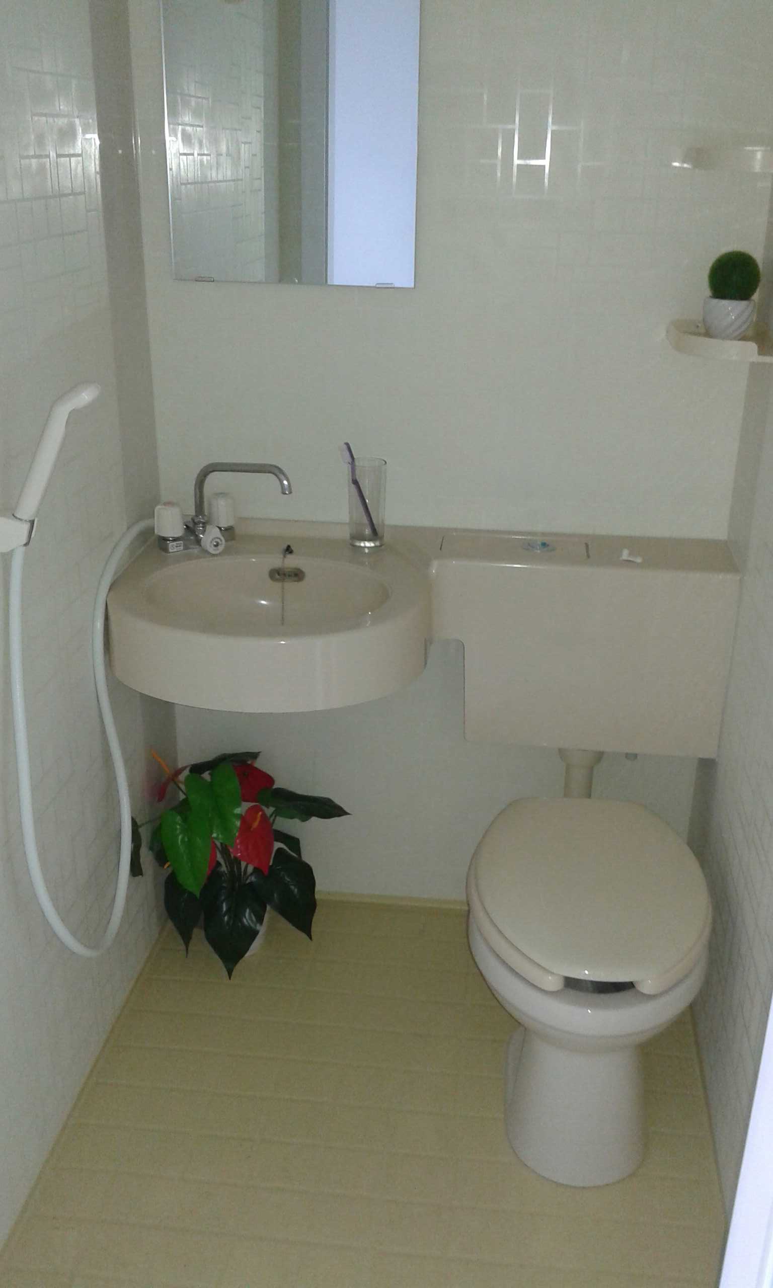 Compact bathroom pod interior example